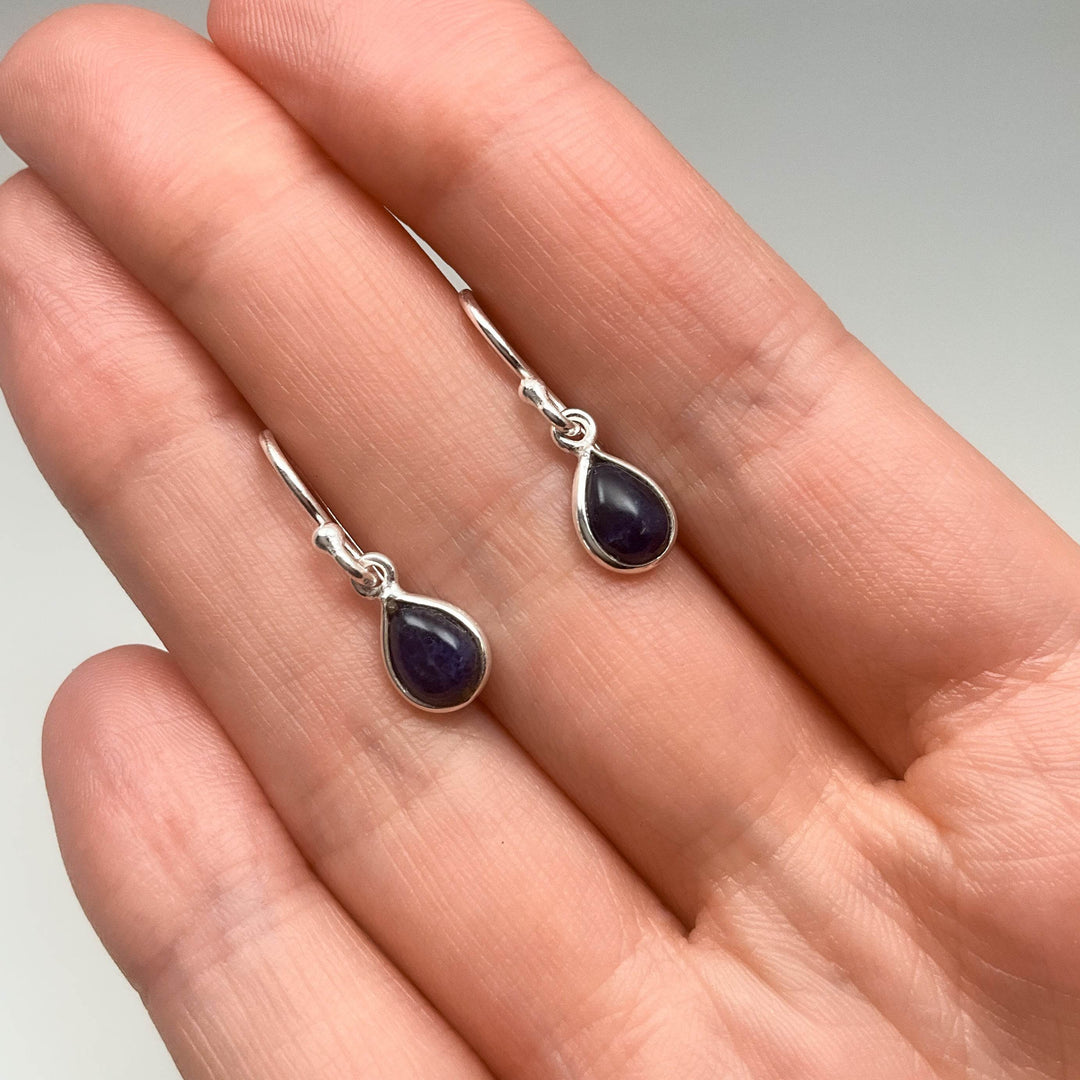 Sodalite Dangle Earrings-Rocks and Gems Canada