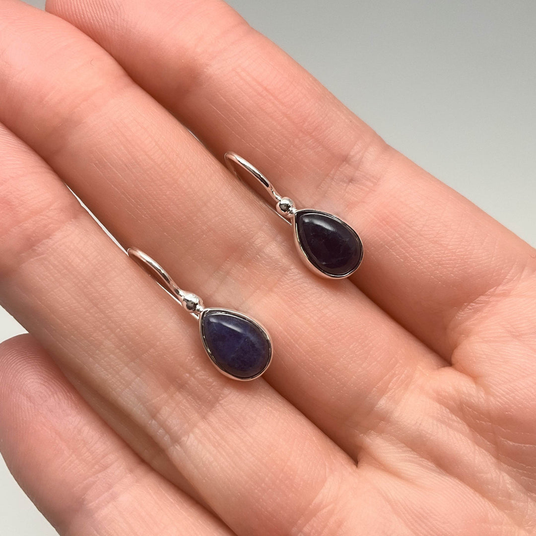 Sodalite Dangle Earrings-Rocks and Gems Canada