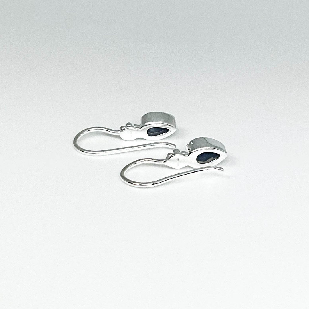 Sodalite Dangle Earrings-Rocks and Gems Canada
