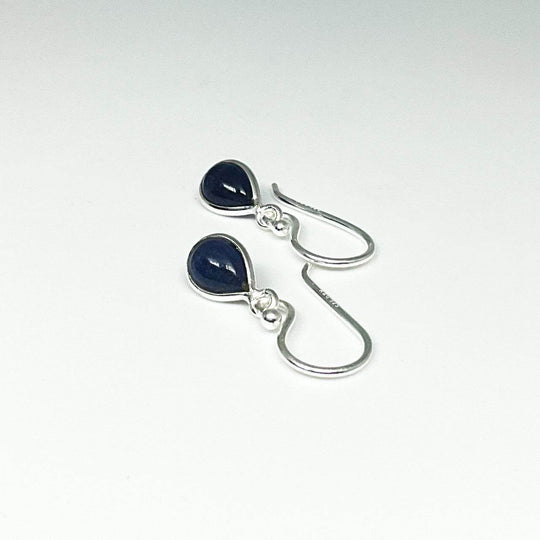 Sodalite Dangle Earrings-Rocks and Gems Canada