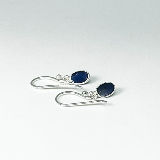 Sodalite Dangle Earrings-Rocks and Gems Canada