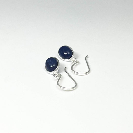 Sodalite Dangle Earrings-Rocks and Gems Canada