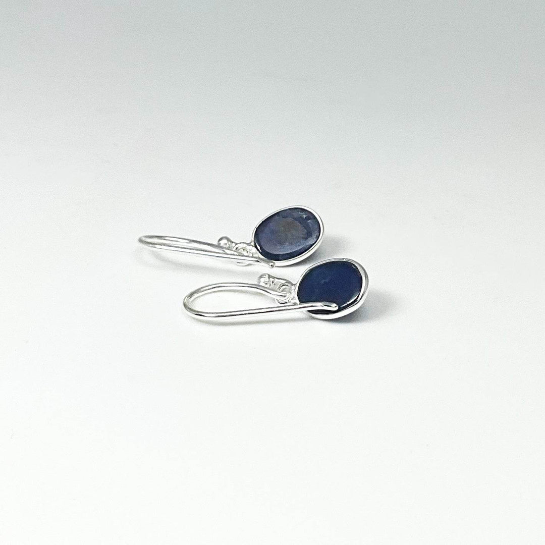 Sodalite Dangle Earrings-Rocks and Gems Canada