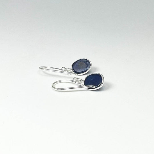 Sodalite Dangle Earrings-Rocks and Gems Canada
