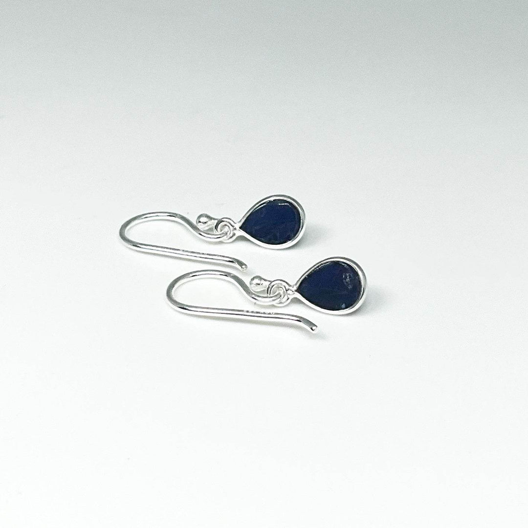 Sodalite Dangle Earrings-Rocks and Gems Canada