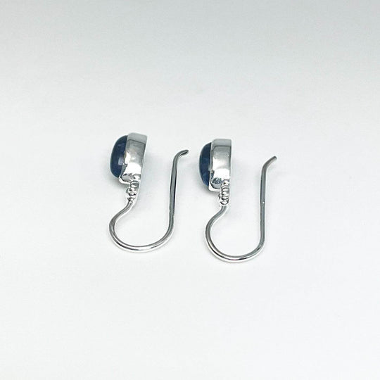 Sodalite Dangle Earrings-Rocks and Gems Canada