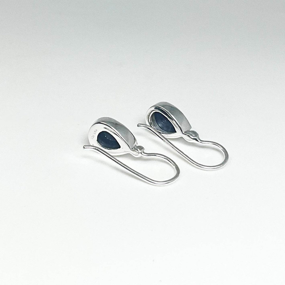 Sodalite Dangle Earrings-Rocks and Gems Canada