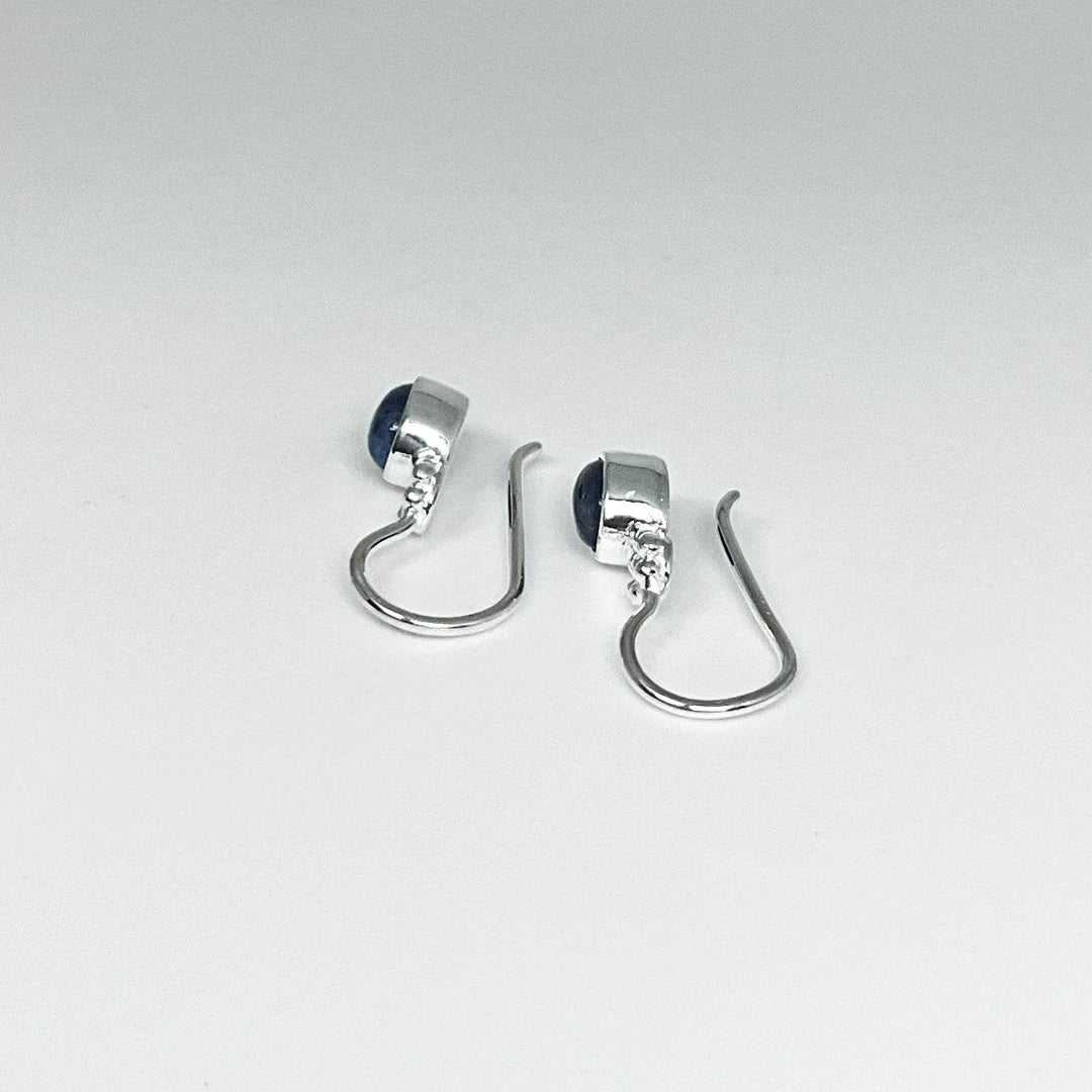 Sodalite Dangle Earrings-Rocks and Gems Canada