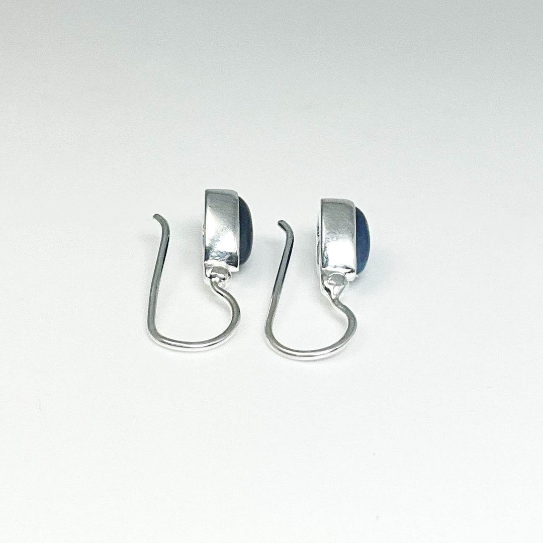 Sodalite Dangle Earrings-Rocks and Gems Canada