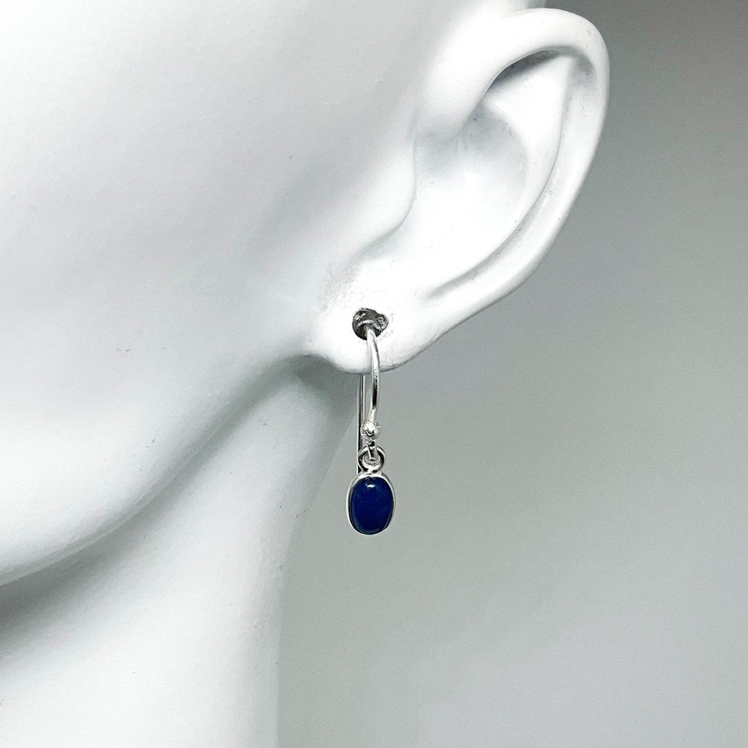 Sodalite Dangle Earrings-Rocks and Gems Canada
