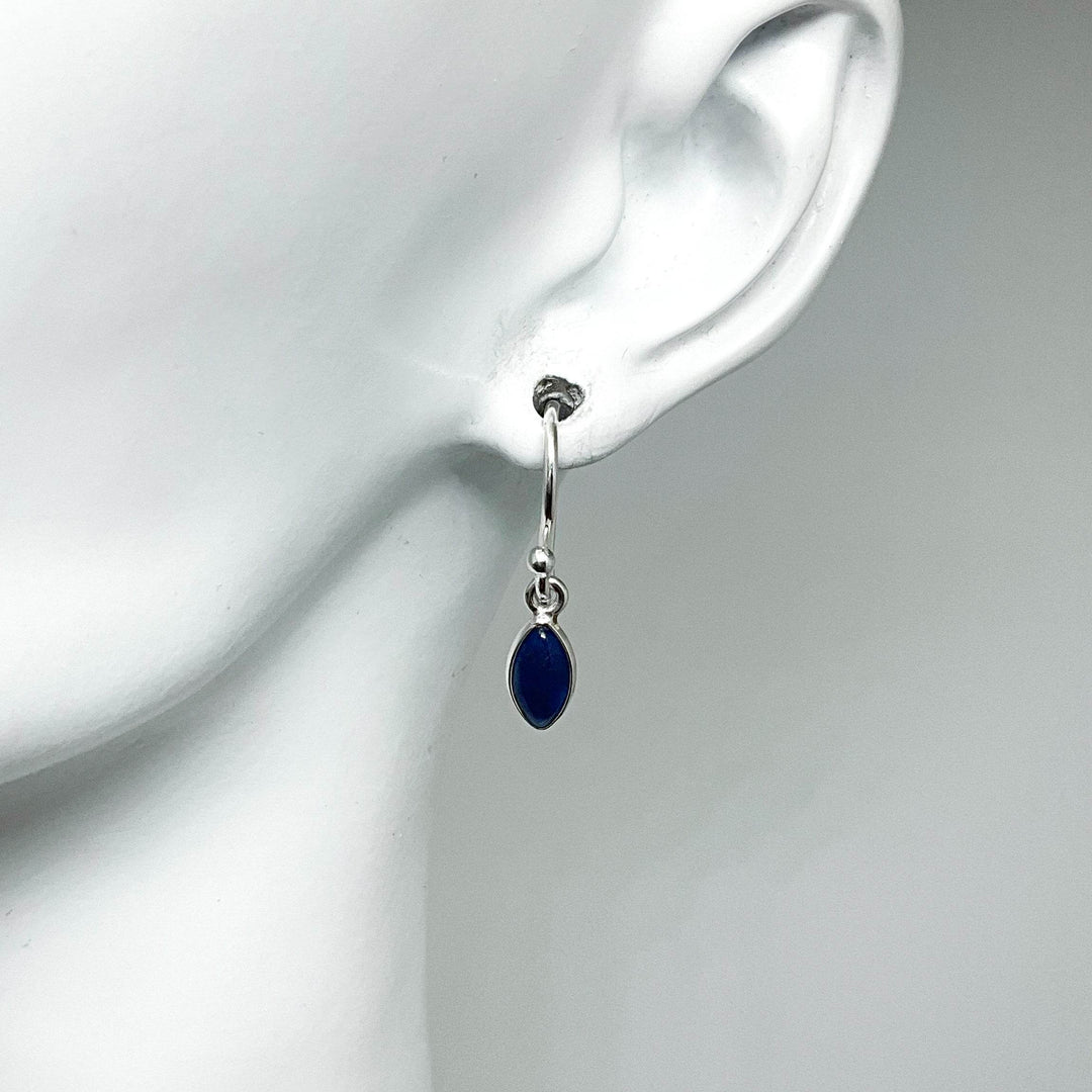 Sodalite Dangle Earrings-Rocks and Gems Canada