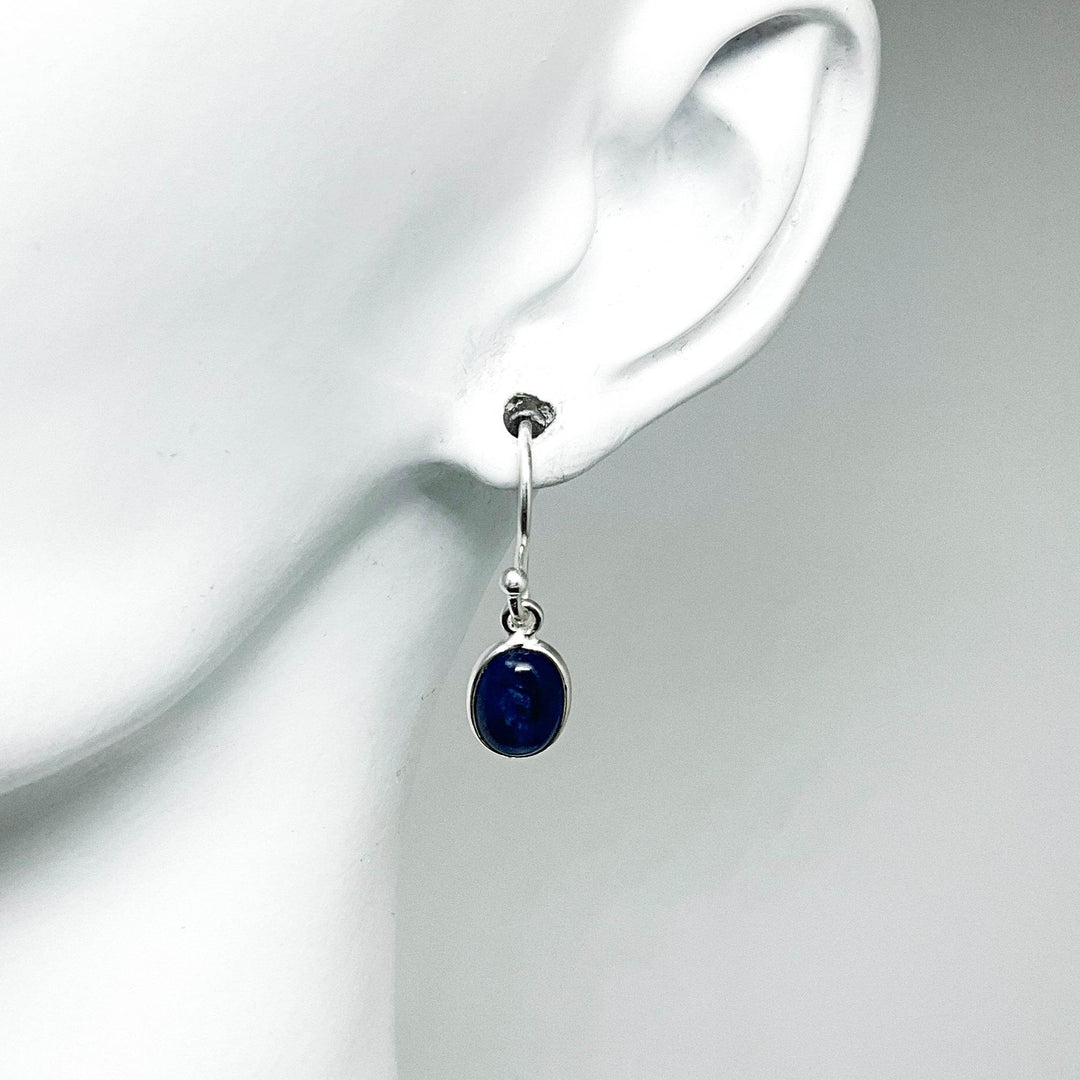 Sodalite Dangle Earrings-Rocks and Gems Canada