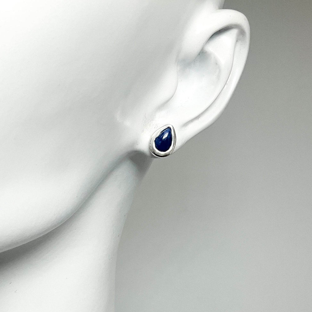 Sodalite Stud Earrings-Rocks and Gems Canada