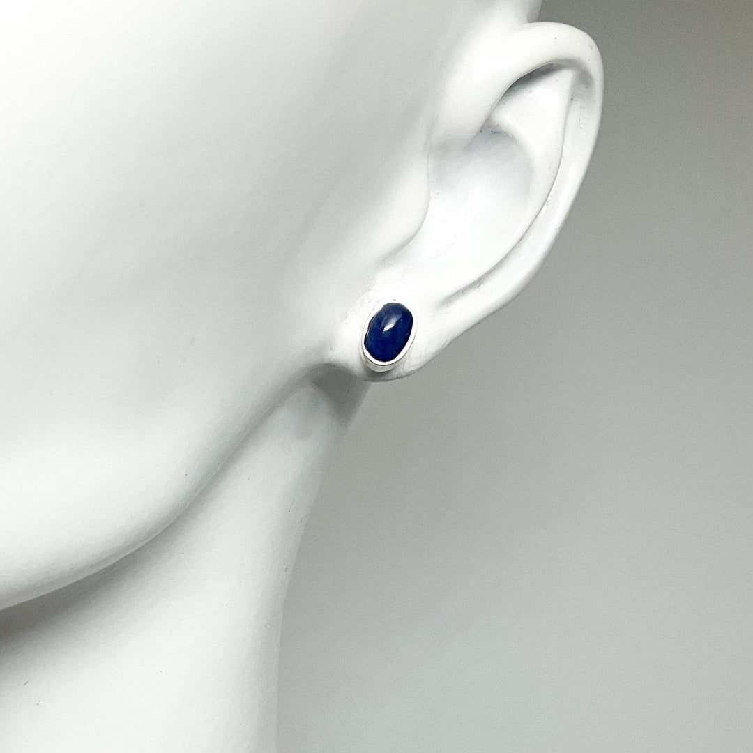 Sodalite Stud Earrings-Rocks and Gems Canada