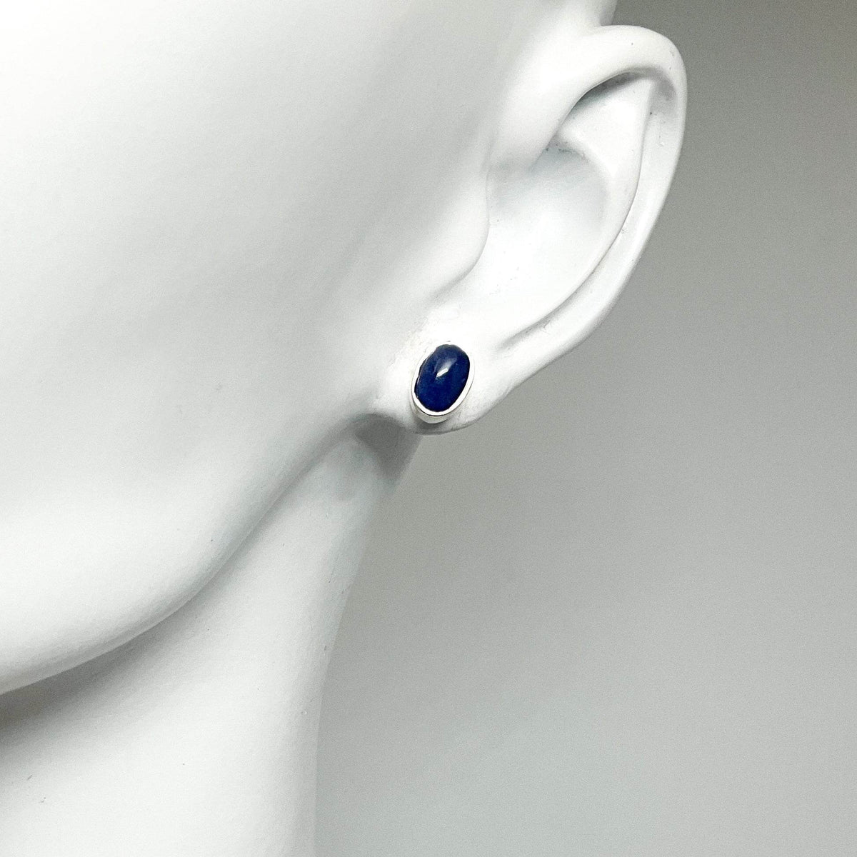 Sodalite Stud Earrings-Rocks and Gems Canada