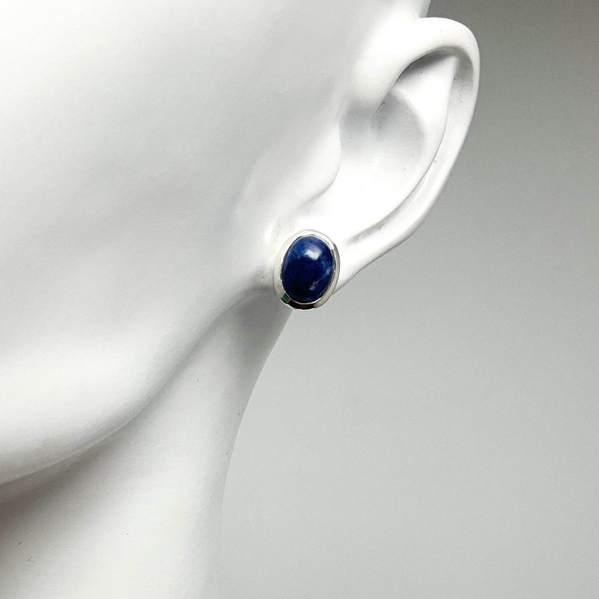 Sodalite Stud Earrings-Rocks and Gems Canada