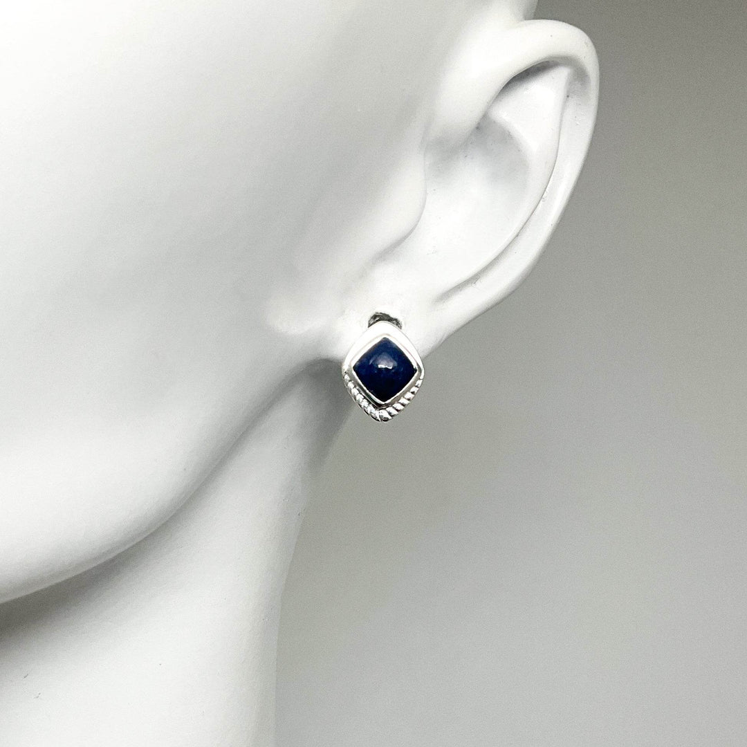 Sodalite Stud Earrings-Rocks and Gems Canada