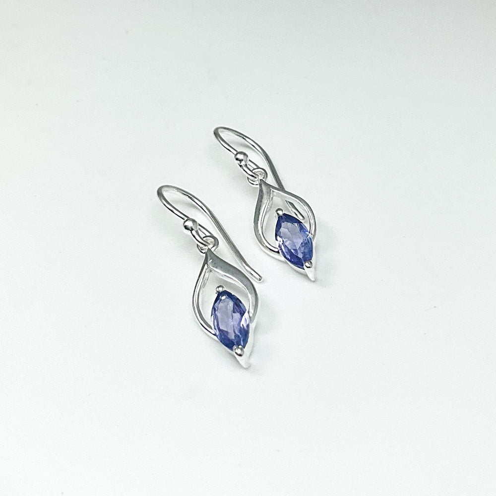 Tanzanite Dangle Earrings-Rocks and Gems Canada
