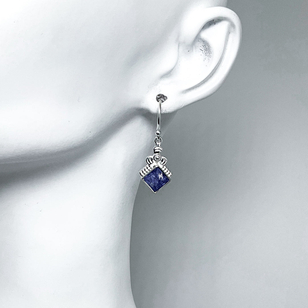 Tanzanite Dangle Earrings-Rocks and Gems Canada