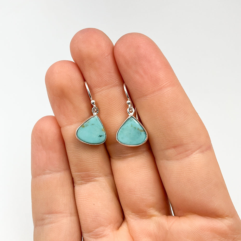Turquoise Dangle Earrings-Rocks and Gems Canada