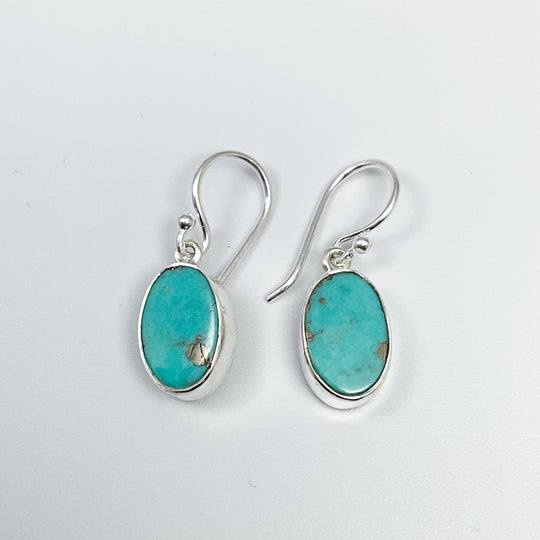 Turquoise Dangle Earrings-Rocks and Gems Canada