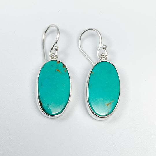 Turquoise Dangle Earrings-Rocks and Gems Canada