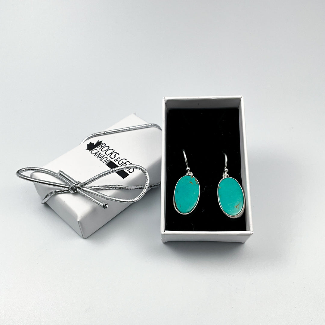 Turquoise Dangle Earrings-Rocks and Gems Canada
