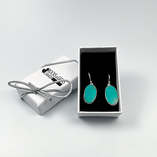 Turquoise Dangle Earrings-Rocks and Gems Canada