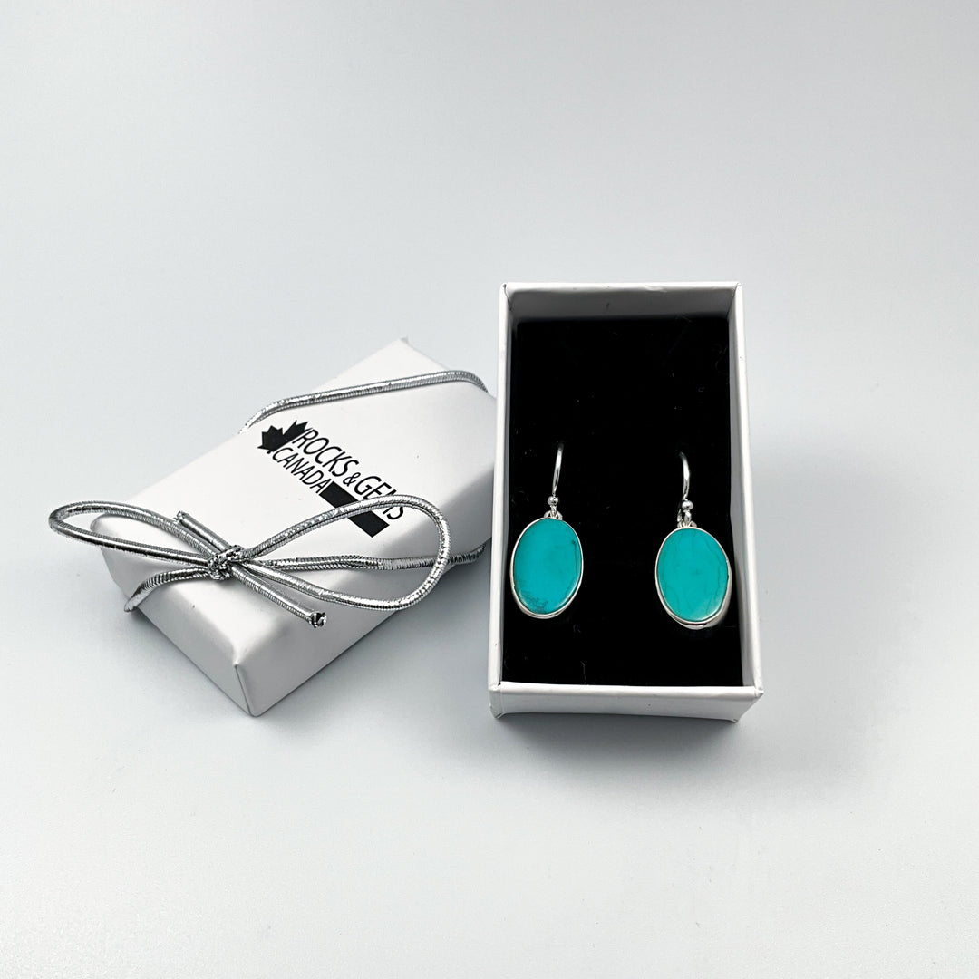 Turquoise Dangle Earrings-Rocks and Gems Canada