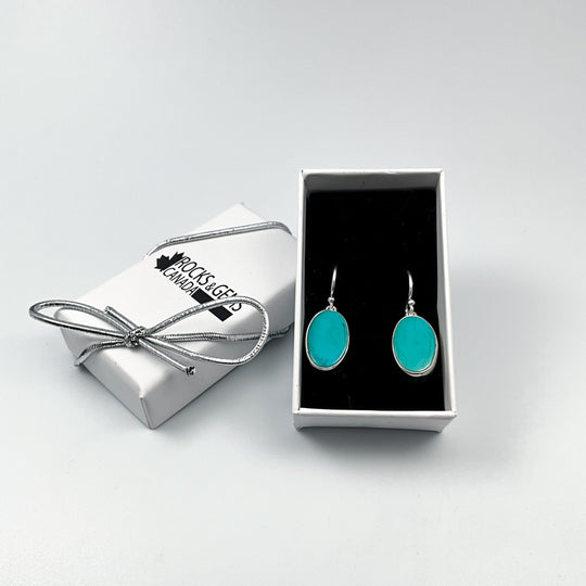 Turquoise Dangle Earrings-Rocks and Gems Canada