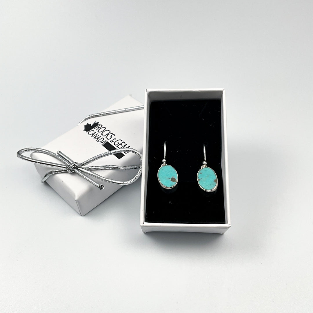 Turquoise Dangle Earrings-Rocks and Gems Canada