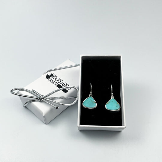Turquoise Dangle Earrings-Rocks and Gems Canada
