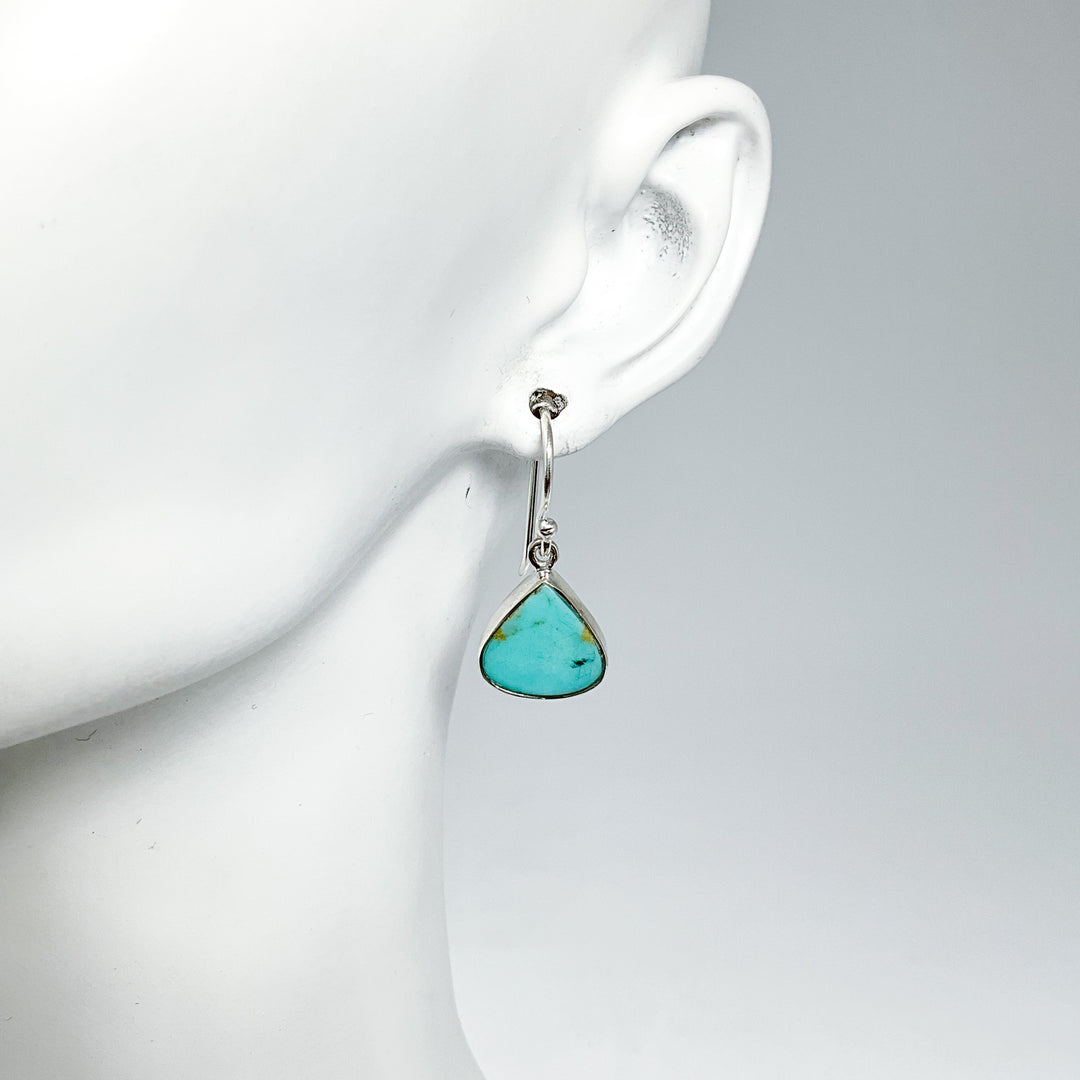 Turquoise Dangle Earrings-Rocks and Gems Canada