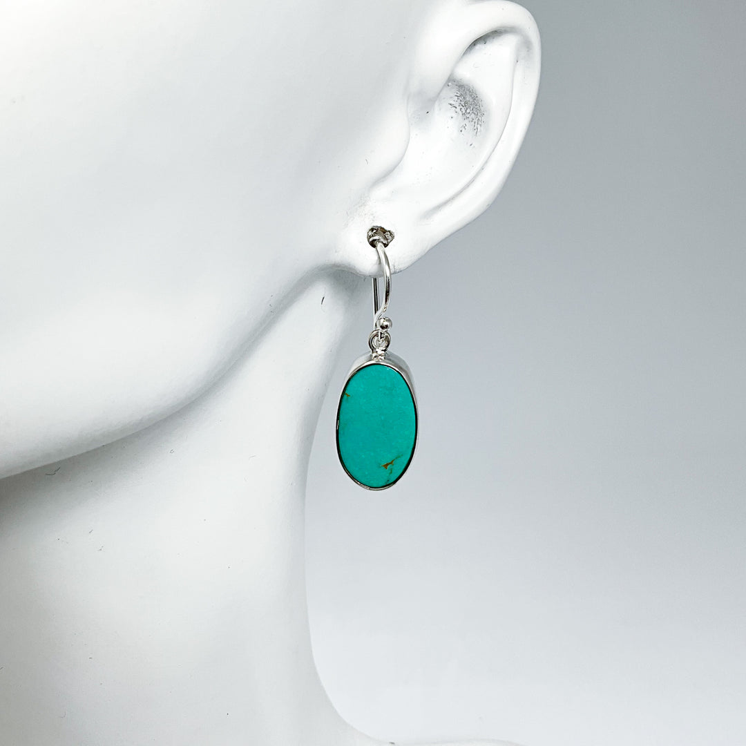 Turquoise Dangle Earrings-Rocks and Gems Canada