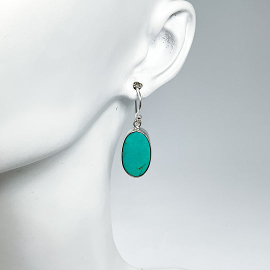 Turquoise Dangle Earrings-Rocks and Gems Canada