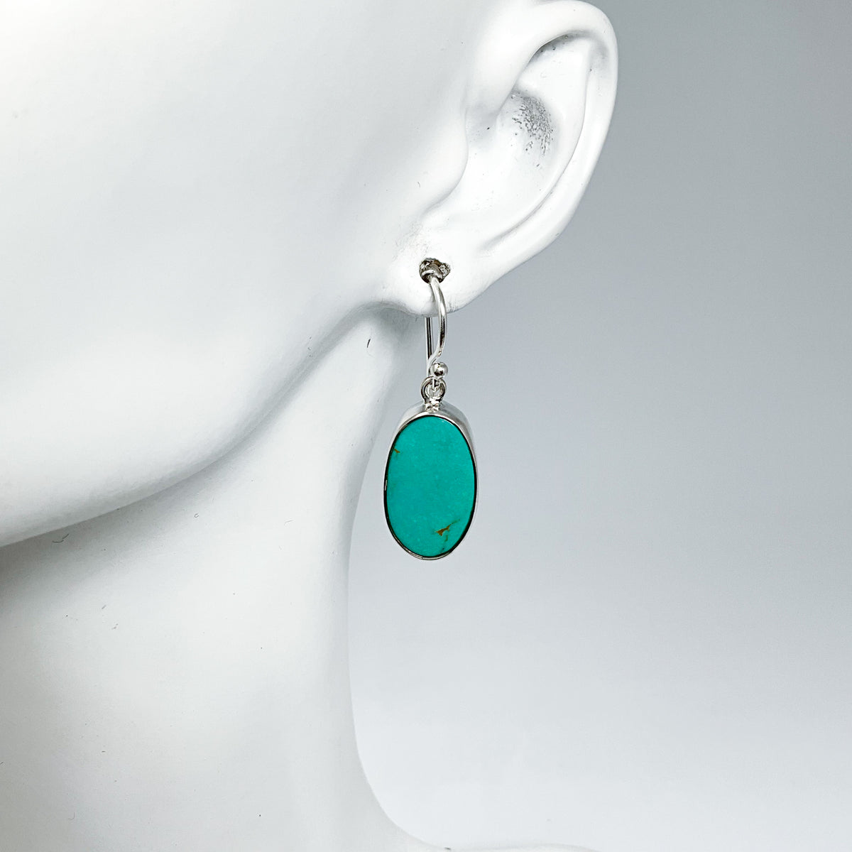Turquoise Dangle Earrings-Rocks and Gems Canada