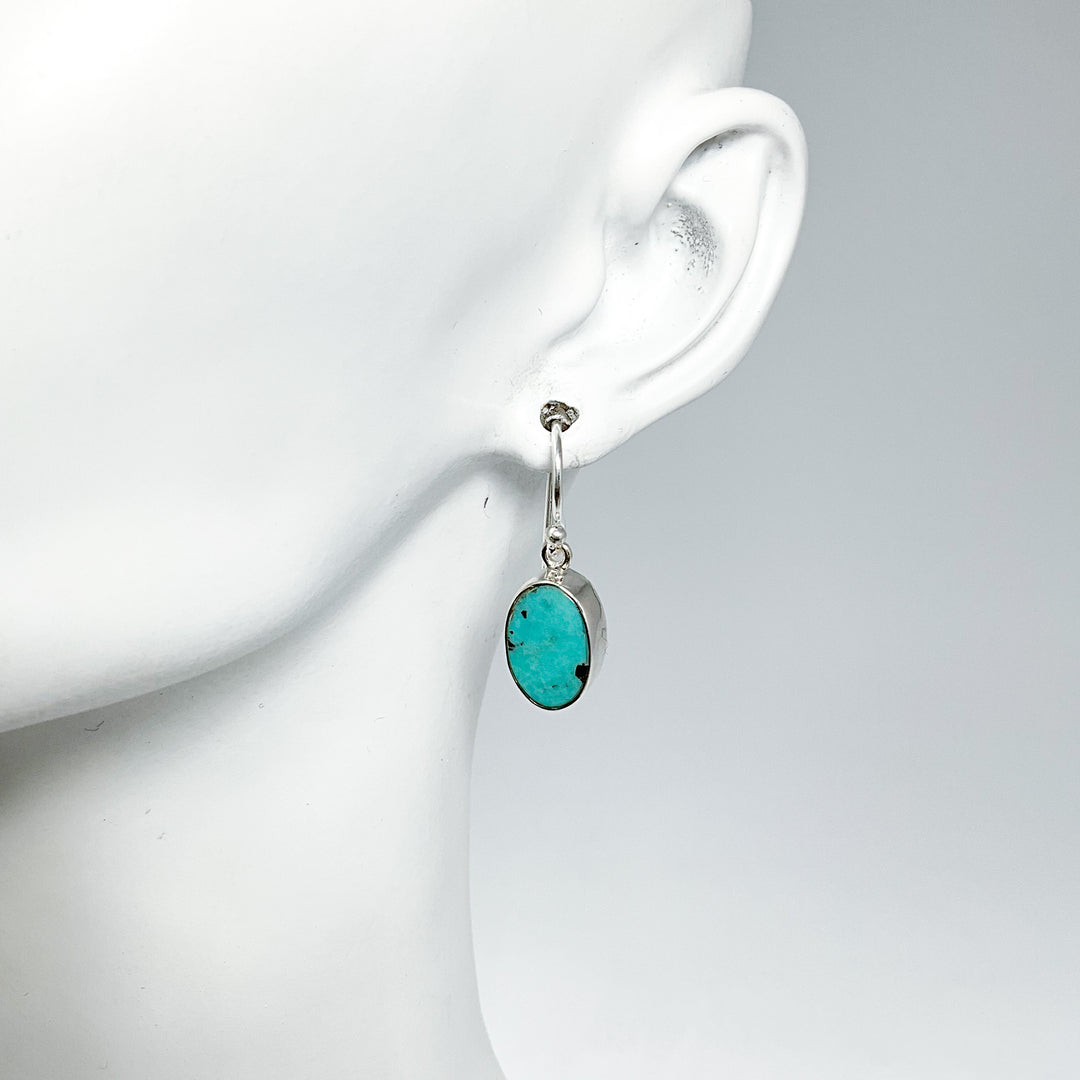 Turquoise Dangle Earrings-Rocks and Gems Canada