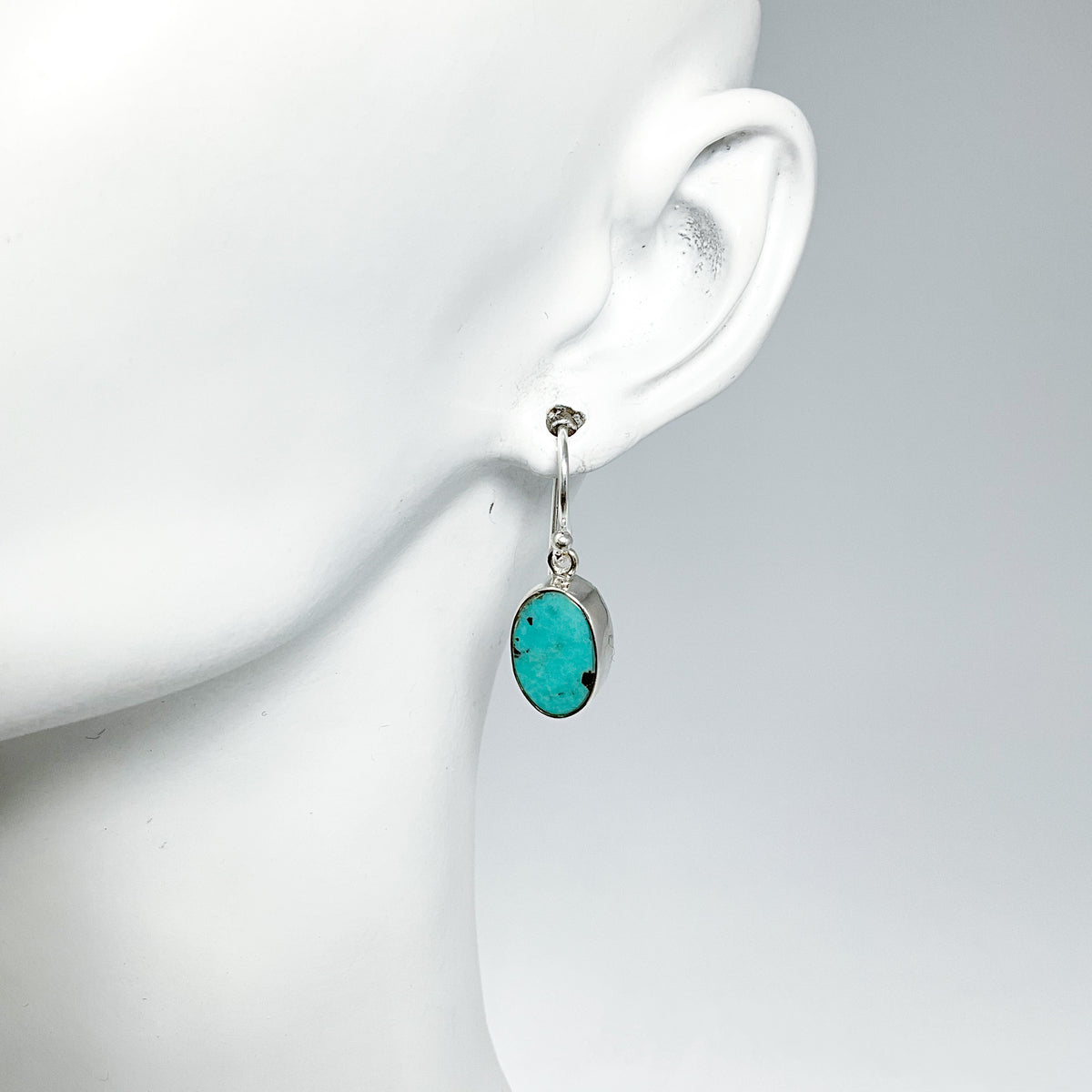 Turquoise Dangle Earrings-Rocks and Gems Canada