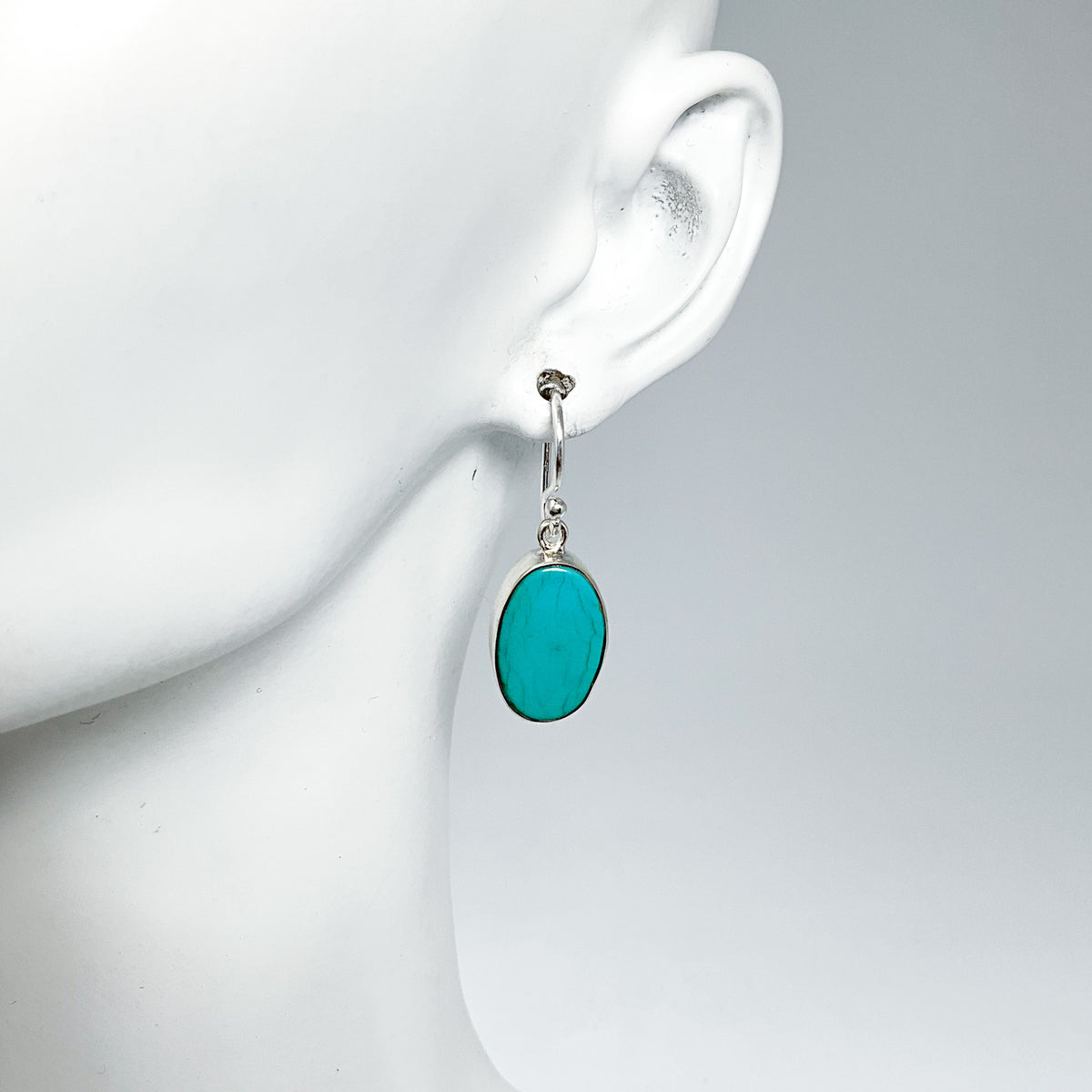 Turquoise Dangle Earrings-Rocks and Gems Canada