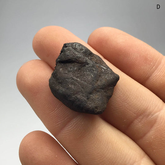 Uruacu Meteorite - Rocks and Gems Canada