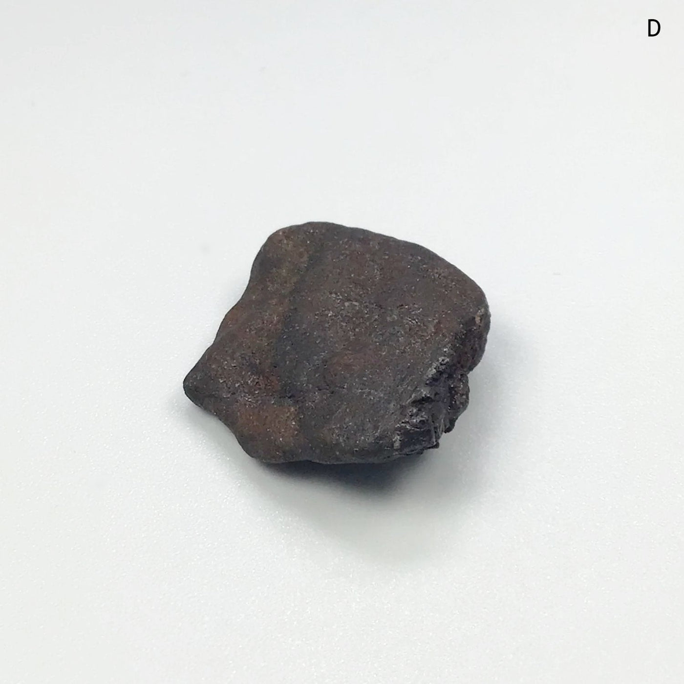 Uruacu Meteorite at $79 Each