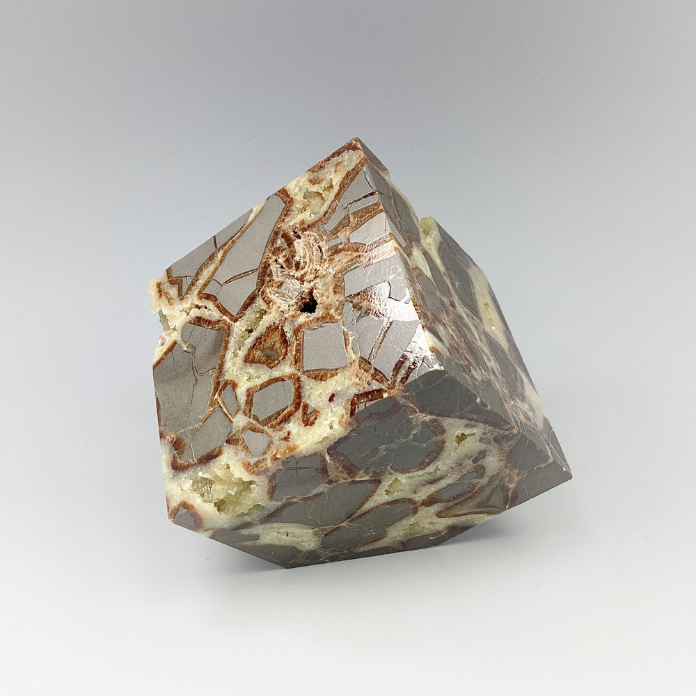 Septarian Cube - Rocks and Gems Canada