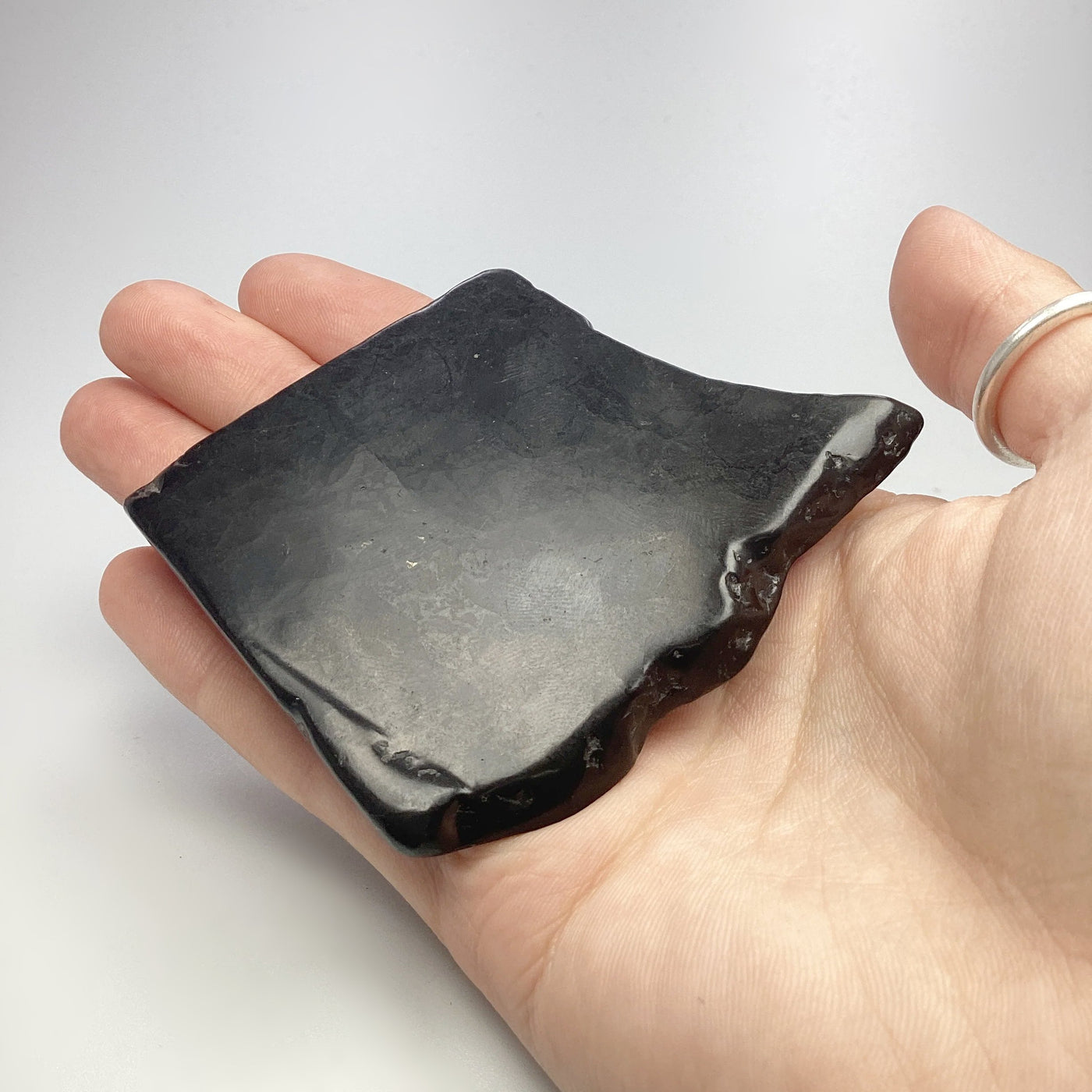 Shungite Slice