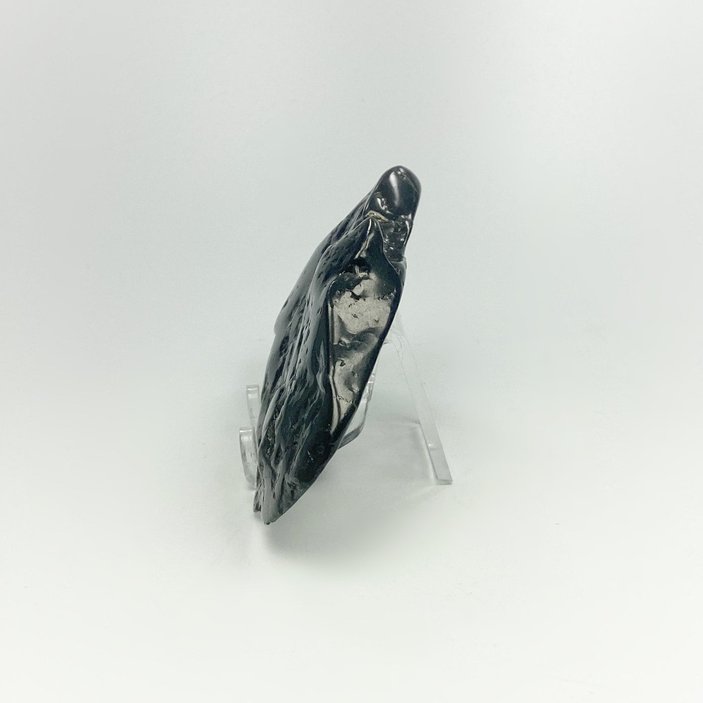 Shungite Slice