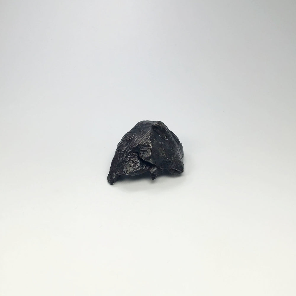 Sikhote-Alin Shrapnel Meteorite - Rocks and Gems Canada