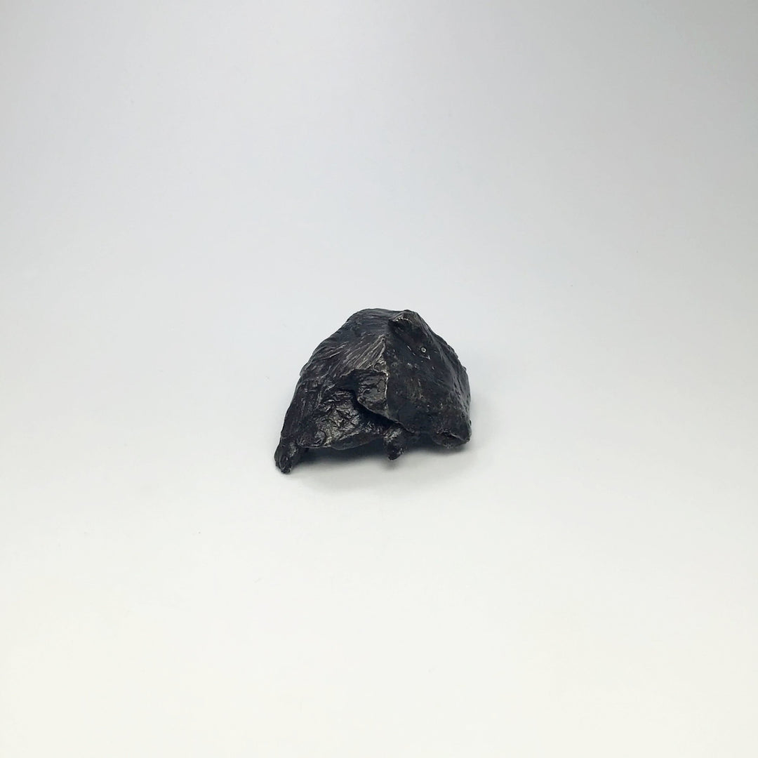 Sikhote-Alin Shrapnel Meteorite - Rocks and Gems Canada