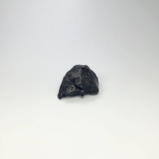 Sikhote-Alin Shrapnel Meteorite - Rocks and Gems Canada