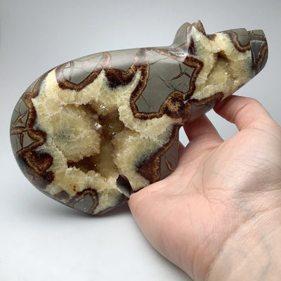 Septarian Bear Carving