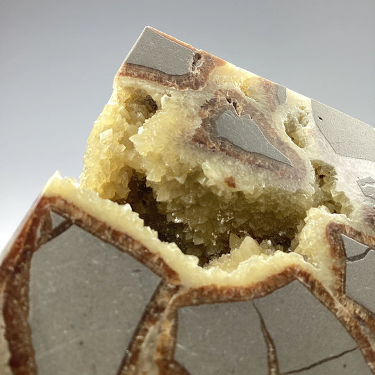 Septarian Cube - Rocks and Gems Canada