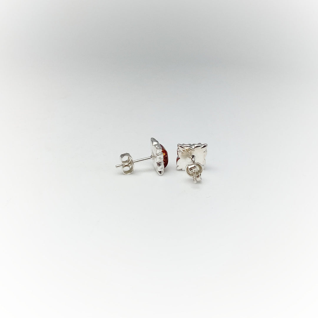 Cognac Amber Stud Earrings - Rocks and Gems Canada